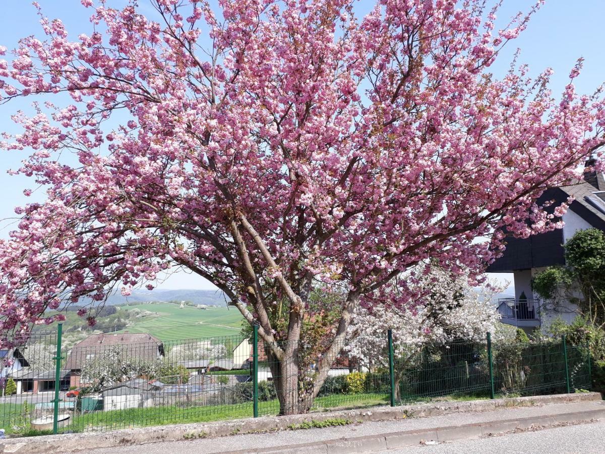 شقة Haus Der Rosen بوبارد المظهر الخارجي الصورة